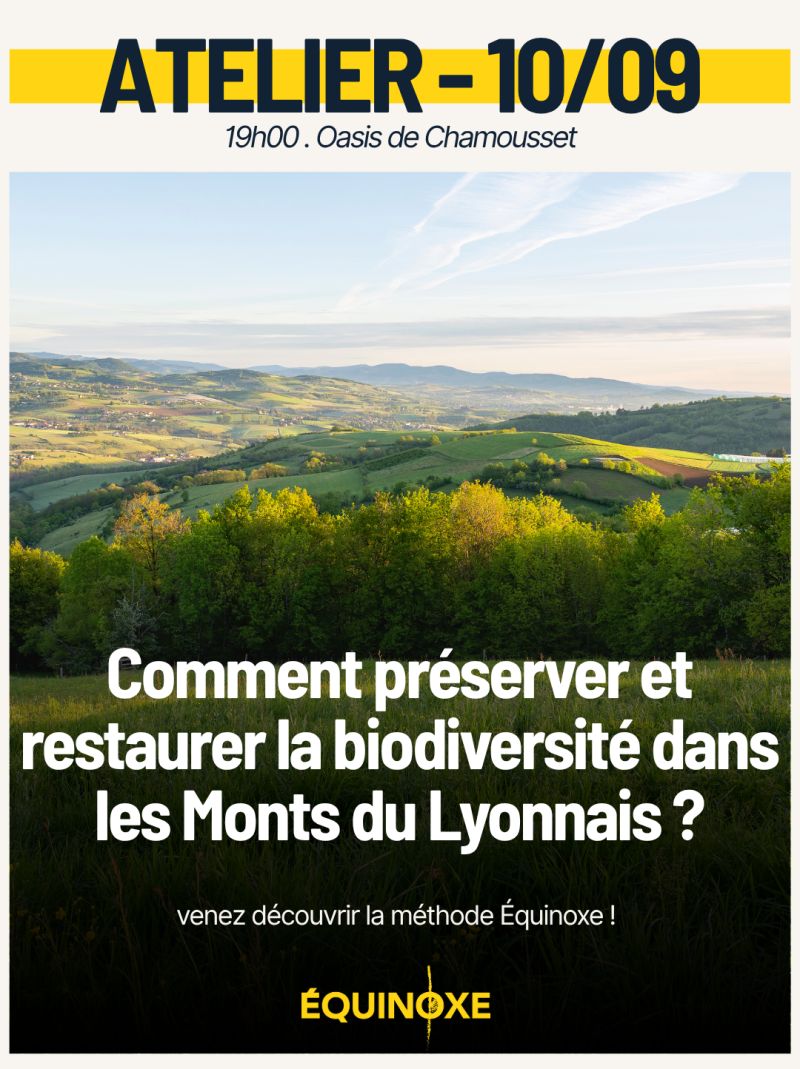 Atelier CAP Biodiversité avec le Parti Equinoxe