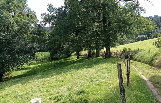 Séjour randonnée dans les Monts du Lyonnais