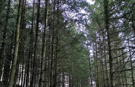 Séjour trail dans les Monts du Lyonnais