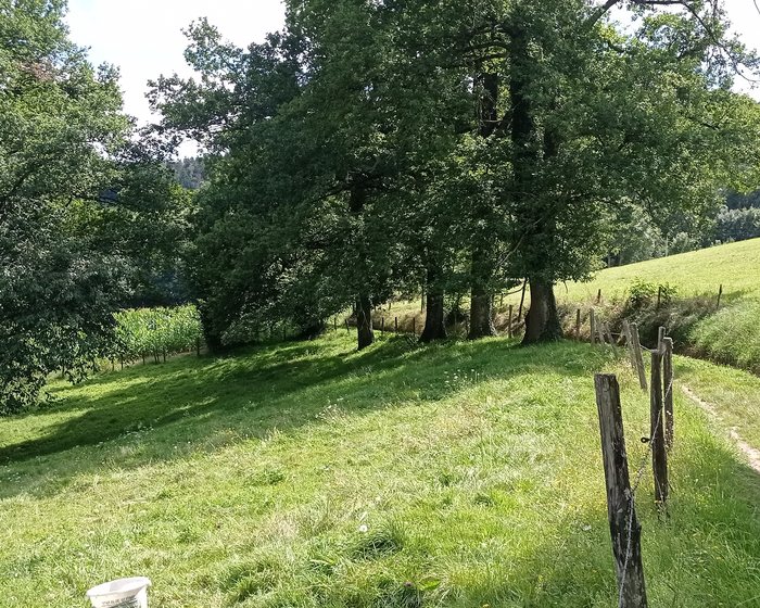 Randonnée dans les Monts du Lyonnais
